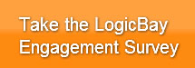 LogicBay Engagement Survey