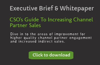 CSO's Guide To Increasing Channel Partner Sales